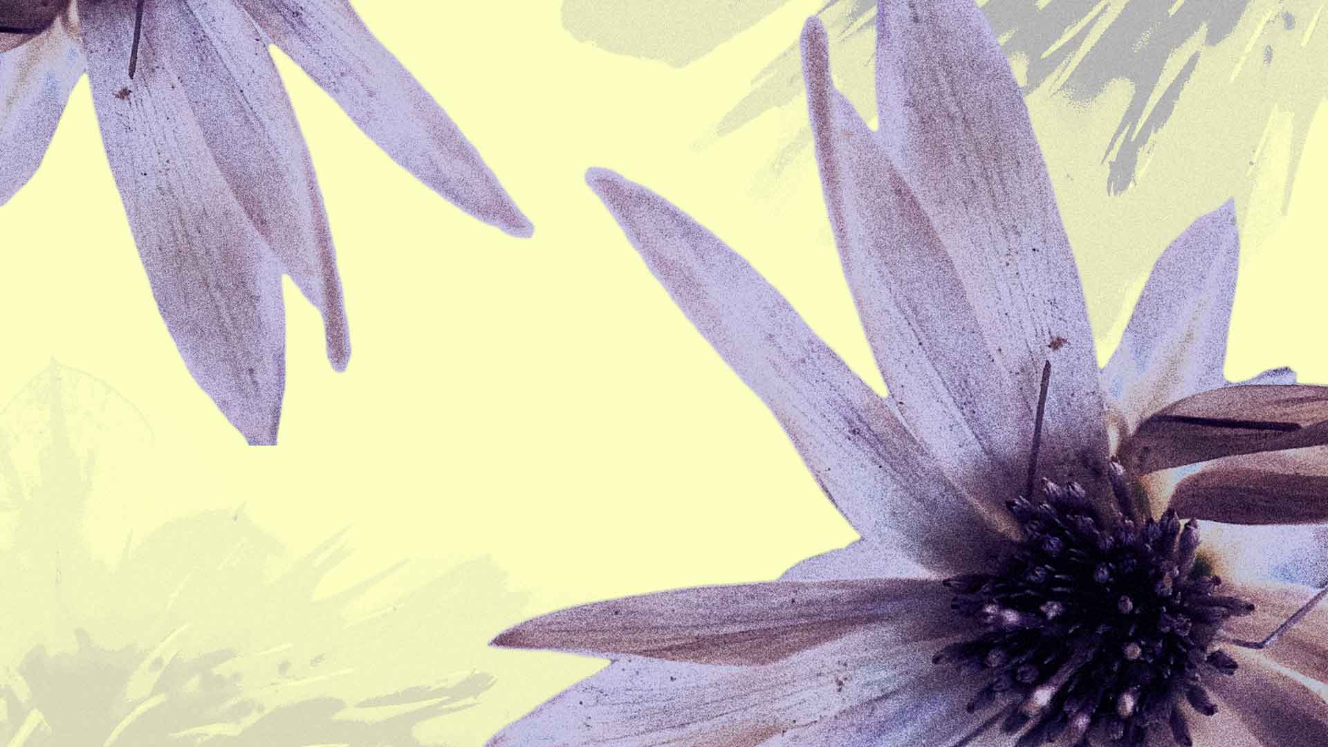 Ландшафт после + Художественная точка